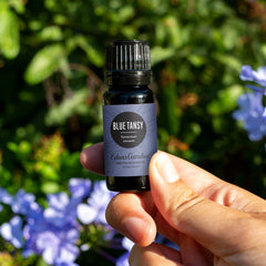 Close-up of blue tansy essential oil dropper