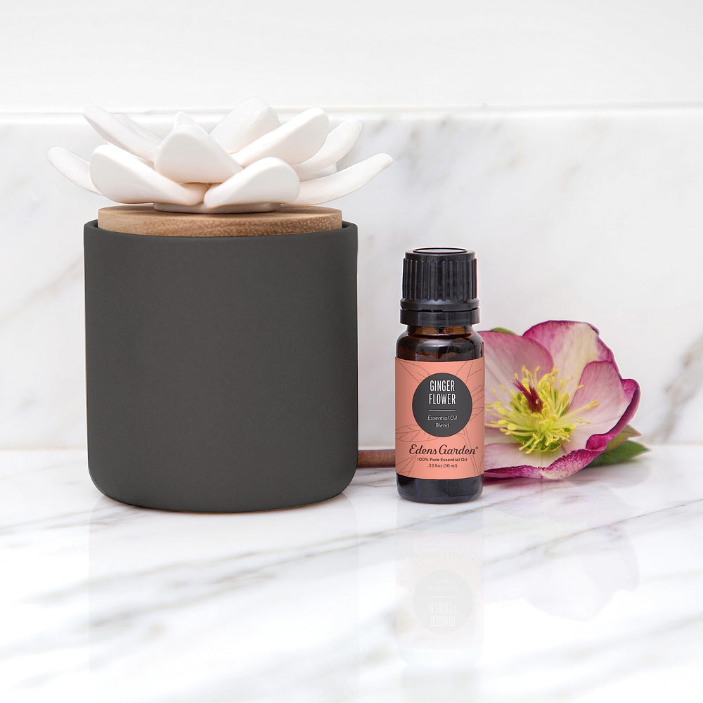 Edens Garden Charcoal Ceramic Bloom Diffuser in living room for calm ambience.