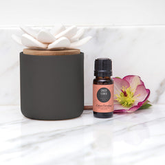 Edens Garden Charcoal Ceramic Bloom Diffuser in living room for calm ambience.