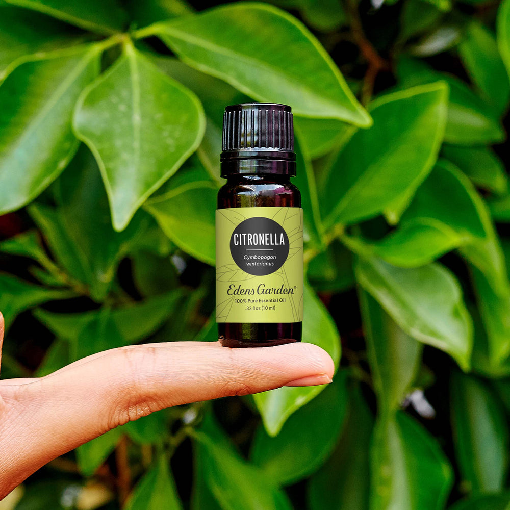 Close-up of Citronella Essential Oil label on bottle