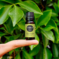 Close-up of Citronella Essential Oil label on bottle