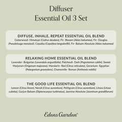 Aromatherapy setup showing blends for relaxation and energy