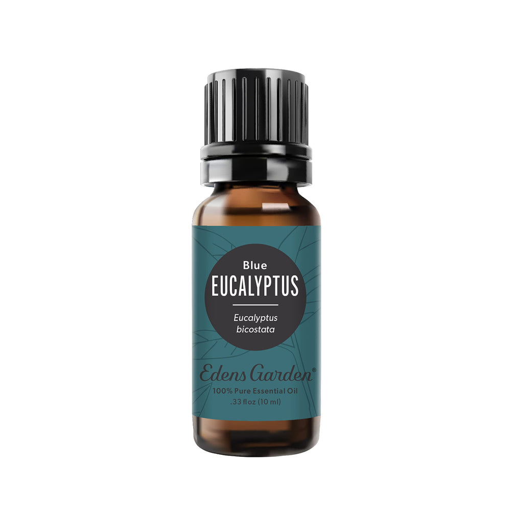 Edens Garden Eucalyptus-Blue essential oil bottle 10 ml front view