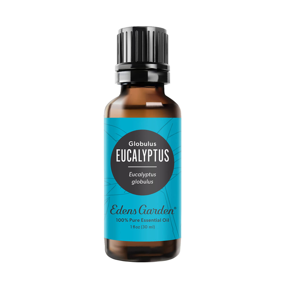 Front view of Edens Garden Eucalyptus Globulus essential oil 30 ml bottle