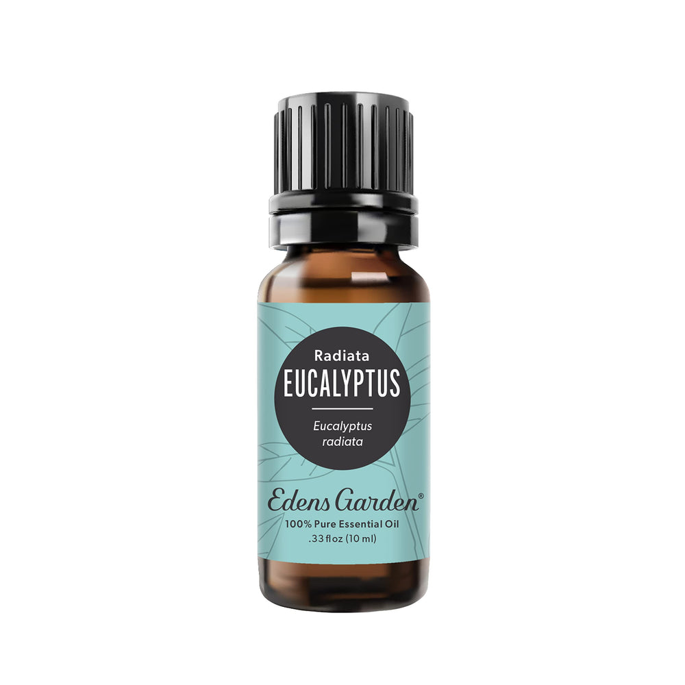 Edens Garden Eucalyptus Radiata essential oil bottle 10 ml