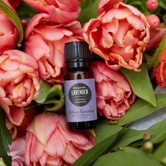 Close-up of Lavender Bulgarian essential oil bottle with dropper