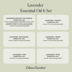 Packaging of Edens Garden Lavender 6-set in premium aromatherapy collection