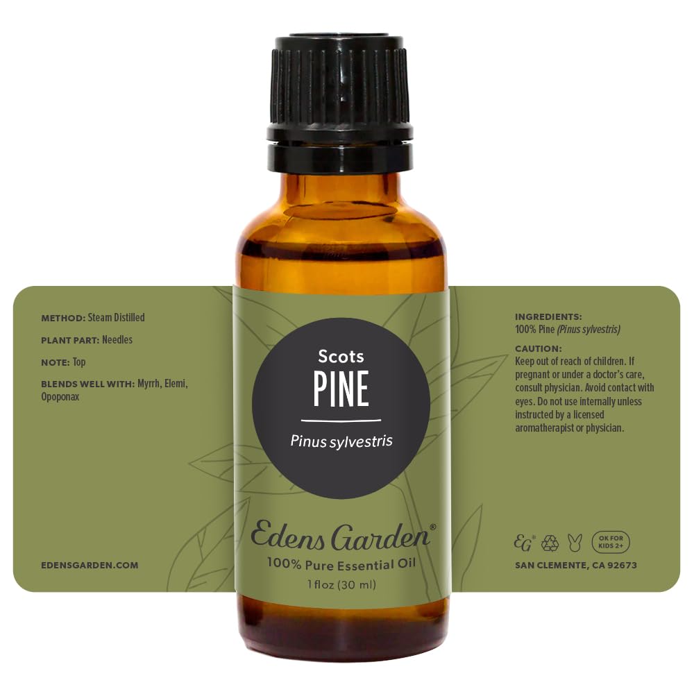 Forest-inspired scene with Pine-Scots essential oil imagery