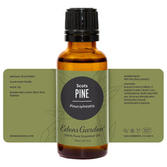 Forest-inspired scene with Pine-Scots essential oil imagery