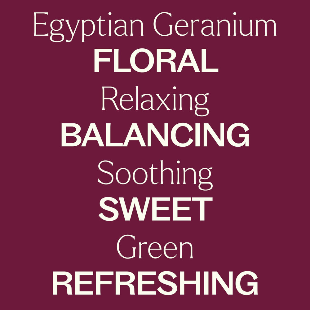 Geranium plant and leaves for essential oil profile