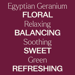 Geranium plant and leaves for essential oil profile