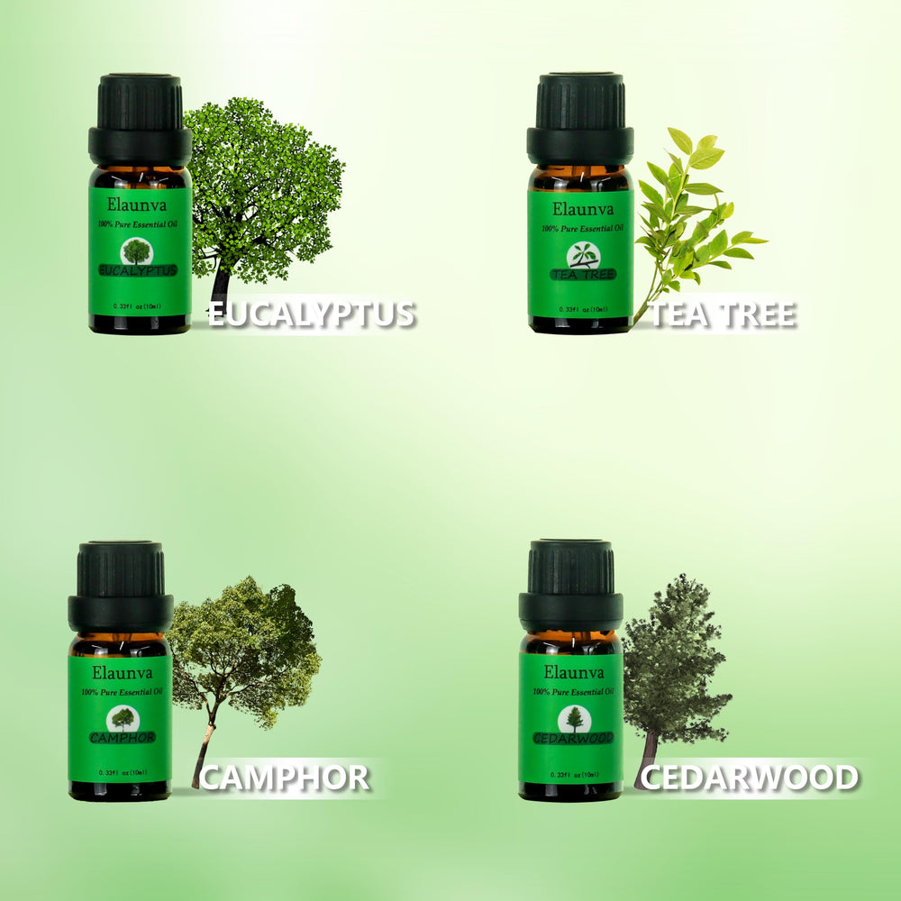 Elaunva Essential Oils Set with amber glass bottles in storage box