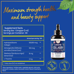 Elderberry immune support liquid drops bottle