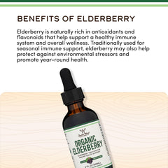 Ingredients overview for Organic European Elderberry Syrup