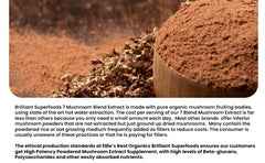 Close-up of double-extracted mushroom blend