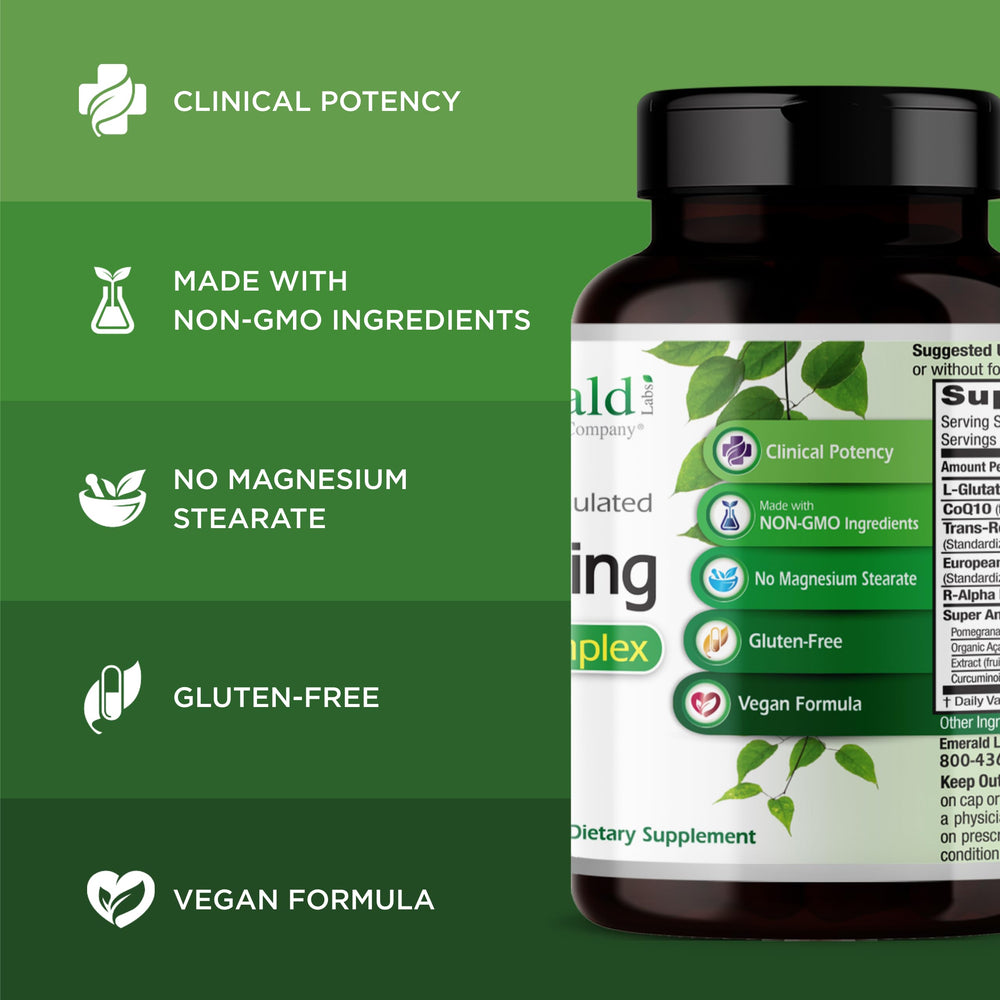 European grape seed extract antioxidant highlight