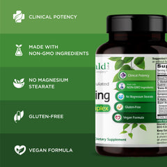 European grape seed extract antioxidant highlight