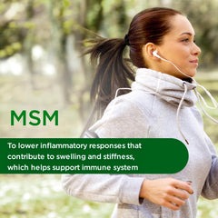 Plant-sourced MSM ingredients illustration