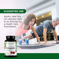 Illustration of heart health and immune support with pomegranate