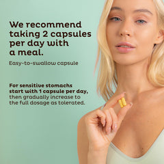Emma Gut Health 4-pack consumer-use on kitchen counter emphasizes daily wellness and gut comfort