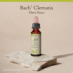 Emotional balance with Clematis flower remedy for focus and concentration