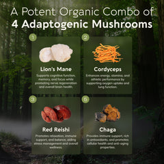 Emperor 4 Mushroom Blend capsules spilling out