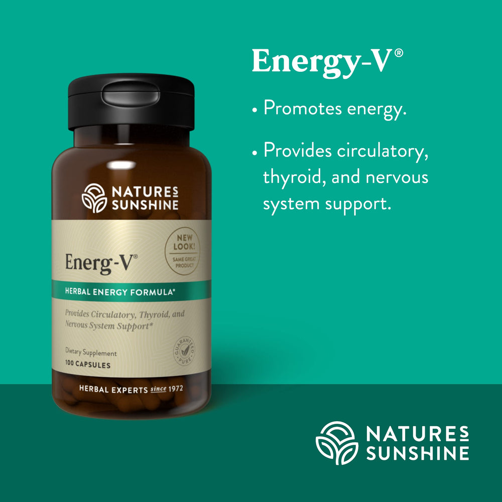 Illustration of energ-v ingredients including gotu kola and schizandra