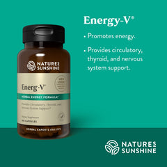 Illustration of energ-v ingredients including gotu kola and schizandra