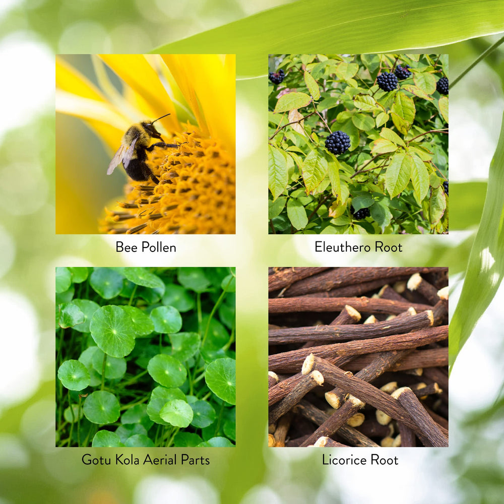 Herbal ingredients like bee pollen and licorice root used in Energ-V