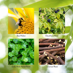 Herbal ingredients like bee pollen and licorice root used in Energ-V