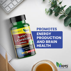 Graphics indicating energy production and nervous system support