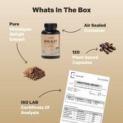 Shilajit supporting energy, cognition, and immune health