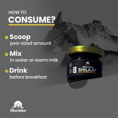Shilajit for natural energy and immune support