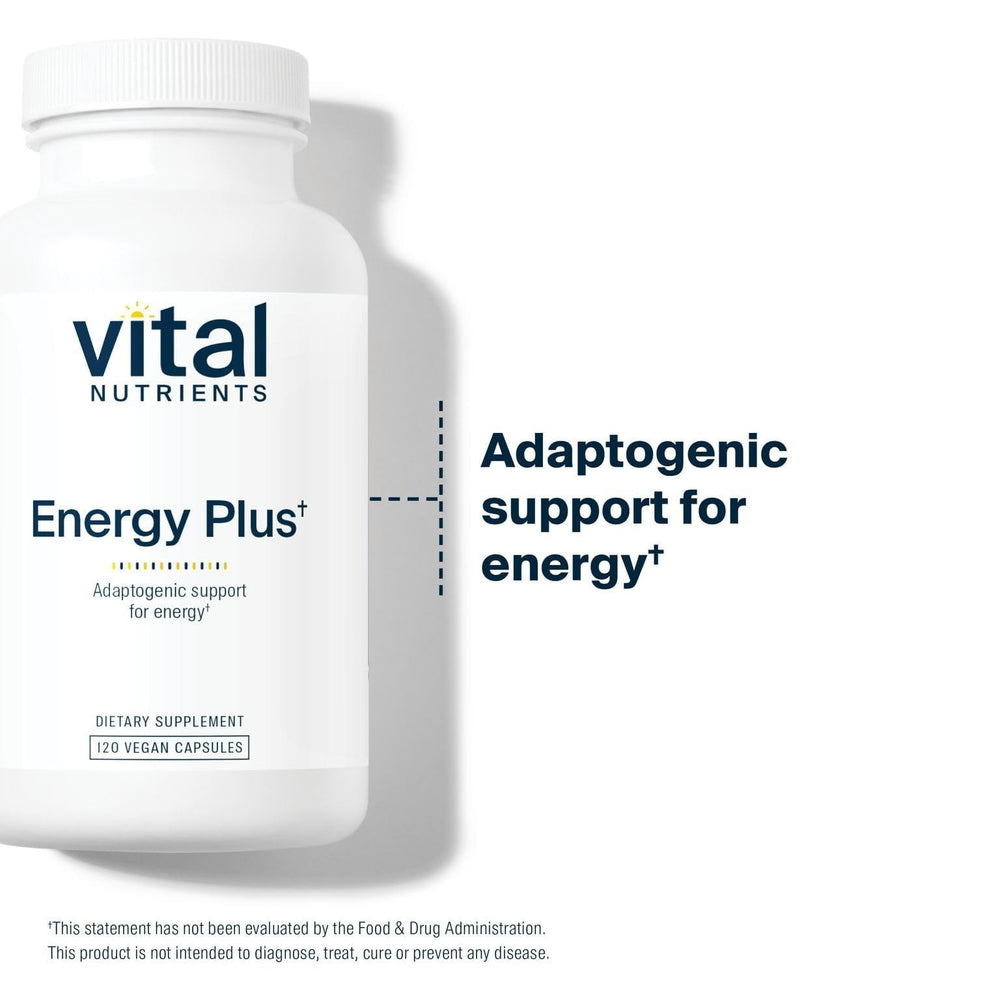 Adaptogenic blend including American ginseng and schisandra