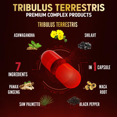 Close-up of energy-support Tribulus Terrestris capsule