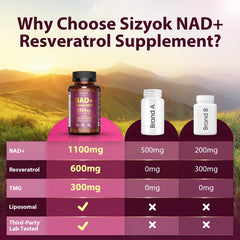NAD+ absorption boost with black pepper extract and TMG