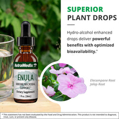 Antioxidant benefits of Enula Immune Support