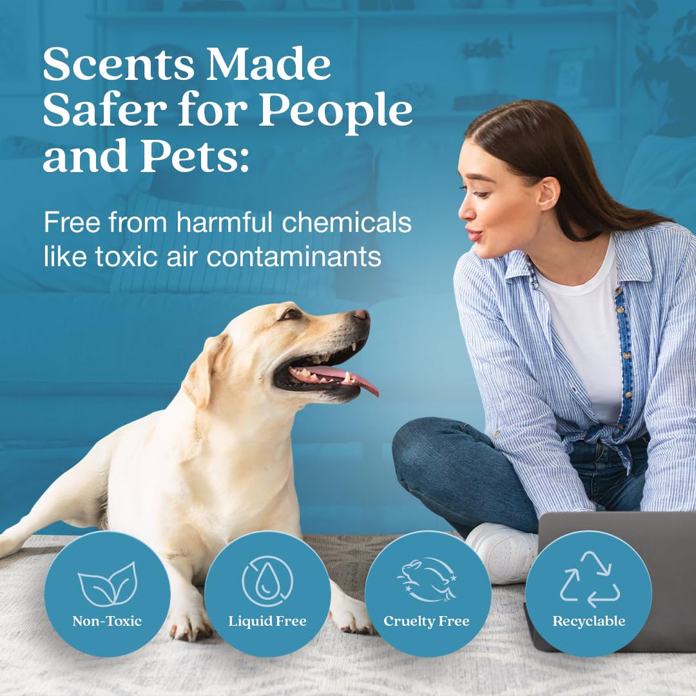 Scent Stix refill in Rainwater & Bamboo