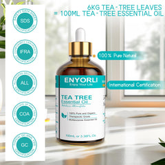 Tea tree leaves from Australia used to produce ENYORLI oil
