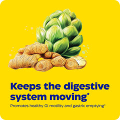 Enzymedica Gut Motility close-up of plant-based ingredients.