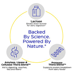 Enzymedica Lacto vegan and kosher clean-label dairy support image.