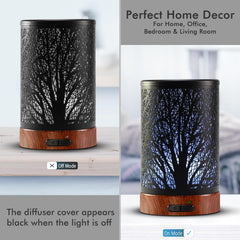 Aromatherapy diffuser with LED color cycle display
