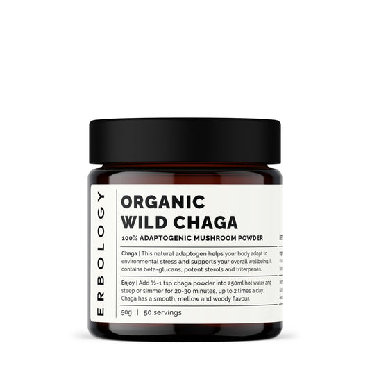 Erbology Organic Chaga Mushroom Powder in amber glass jar