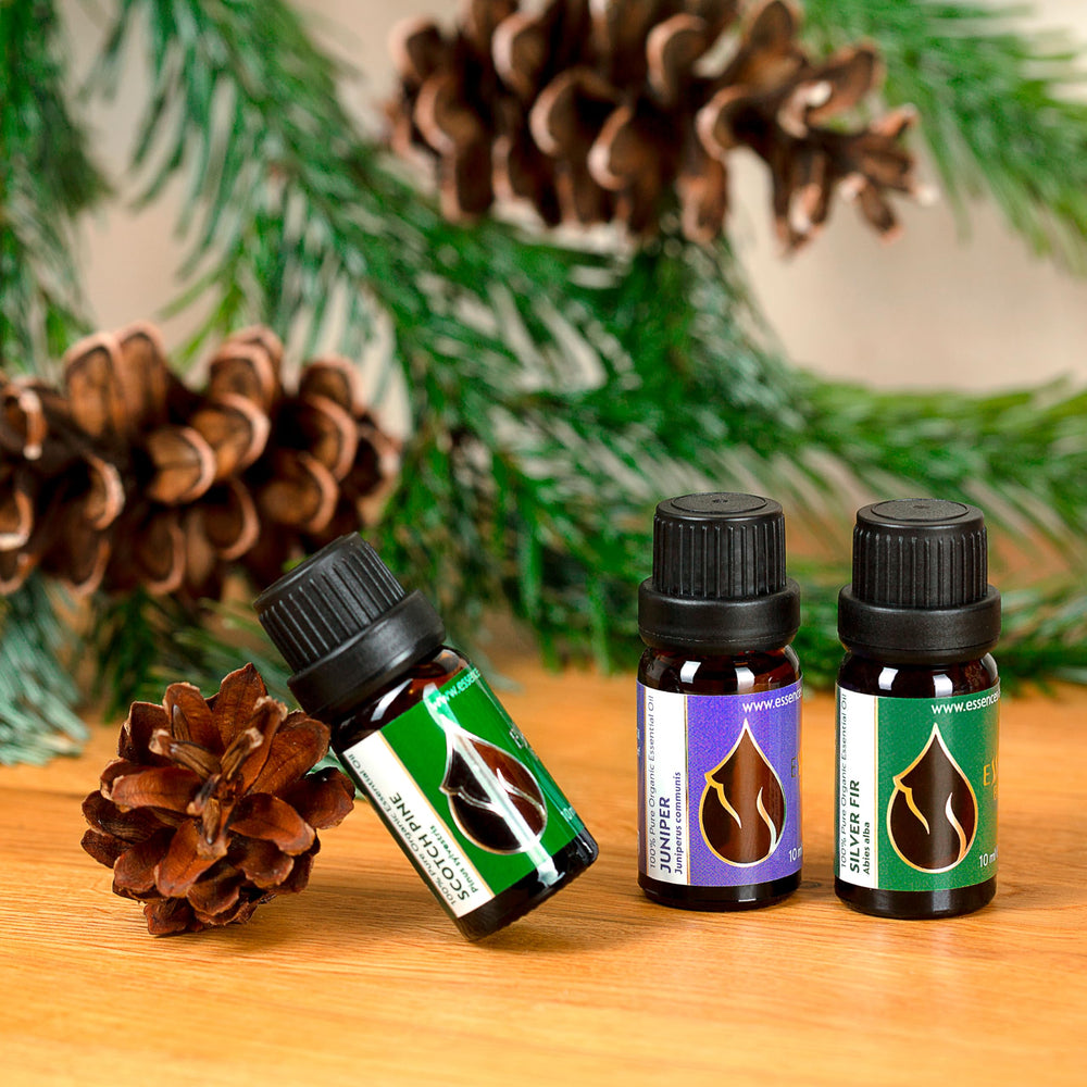 Aromatherapy diffuser setup with juniper essential oil.
