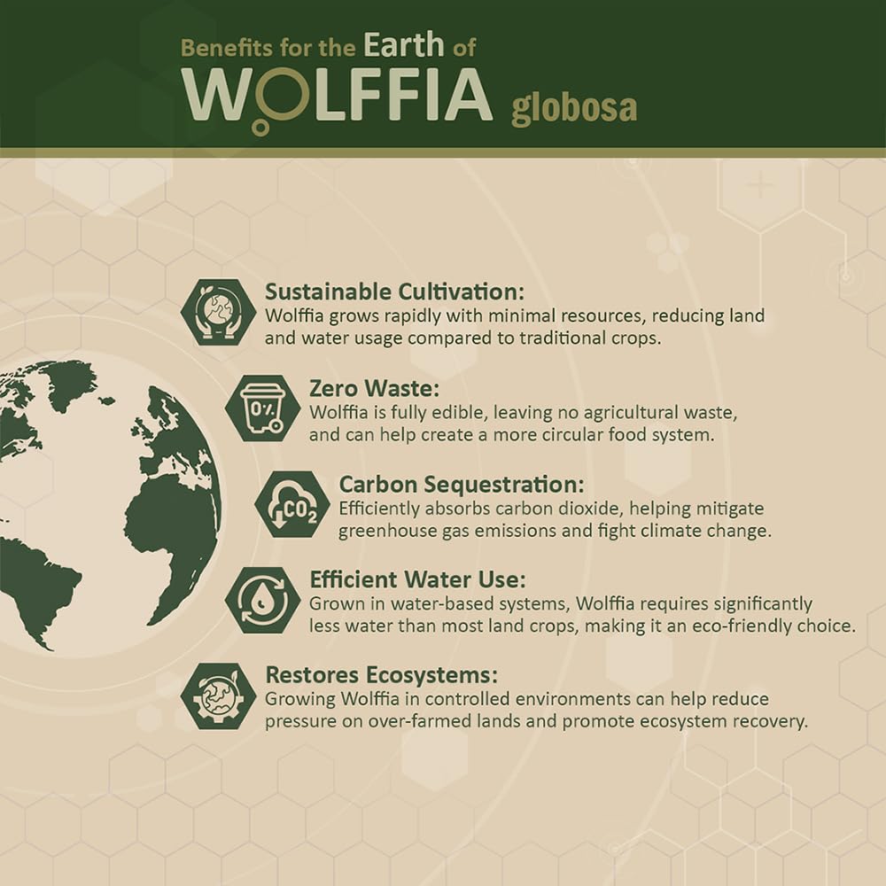 Chart illustrating essential amino acids in Wolffia