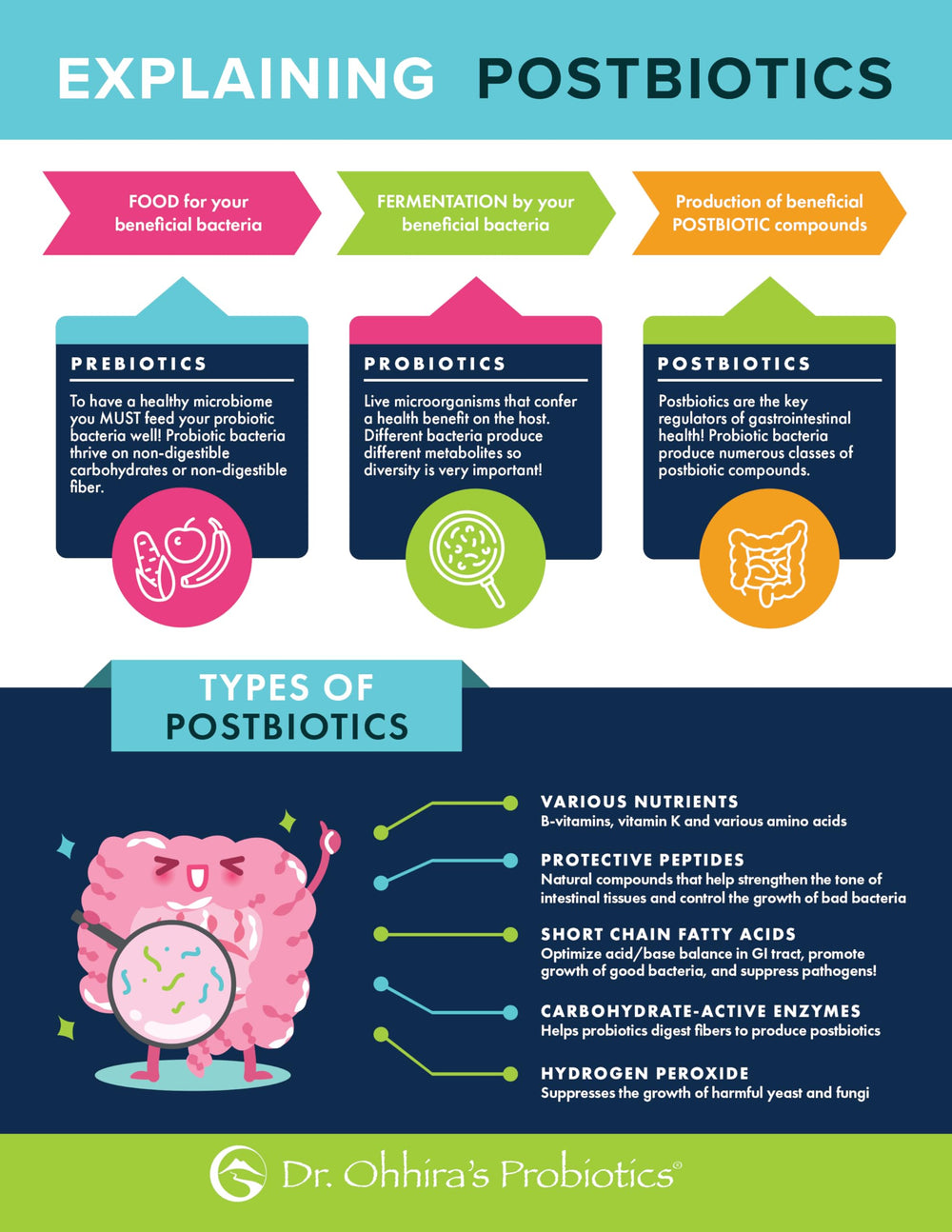 Postbiotic metabolites illustration from Dr Ohhira's Probiotics Original