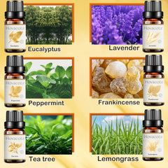 Essential oil set packaging and lifestyle image