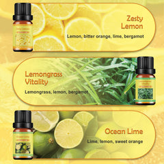 Six essential oil bottles, 10ml each