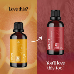 Maple Holistics essential oil diffuser collection