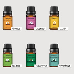 Tea Tree essential oil bottle from the gift set